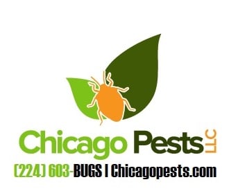 Avatar for Chicago Pests